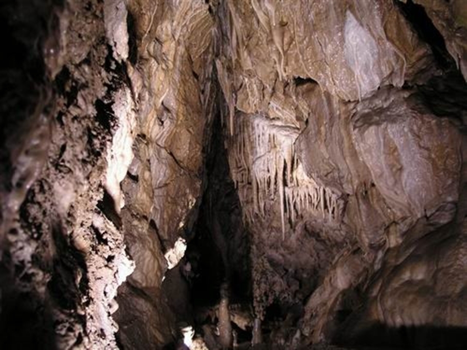 Bozkov Dolomite Caves | Prague Stay