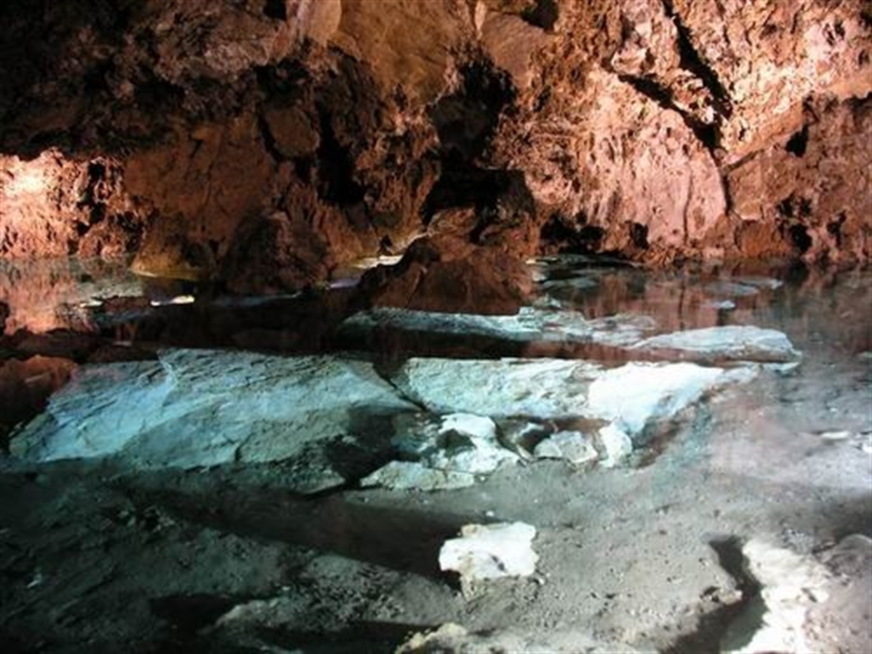 Jeskyne Bozkov Dolomite Czech Cave Complex System Flying Black Bat Pin Badge 