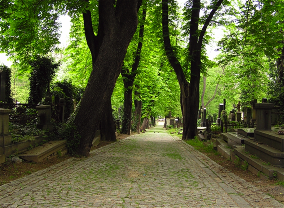 Olšany Cemetery | Prague 